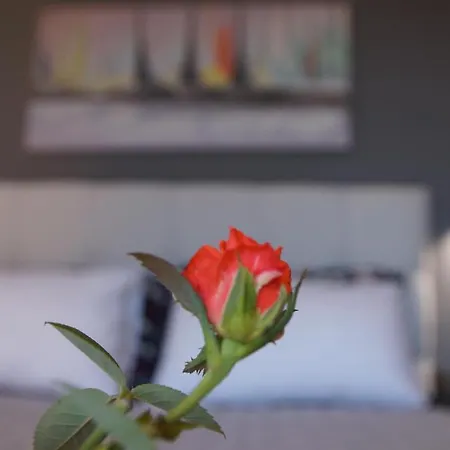 Corfu Luxury Apartment, Tranquility, Mountain & Sea Views דירה *